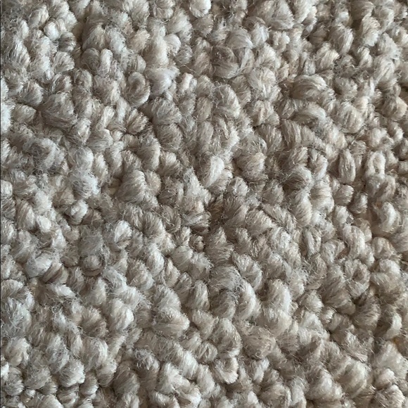 Meet your Posher, Lilly - Picture 1 of 1